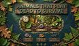 Animals That Play Dead to Survive